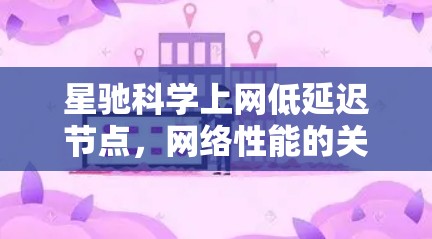 星驰科学上网低延迟节点，网络性能的关键支撑