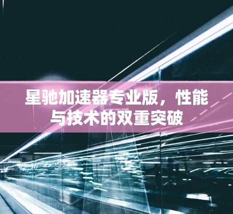星驰加速器专业版，性能与技术的双重突破